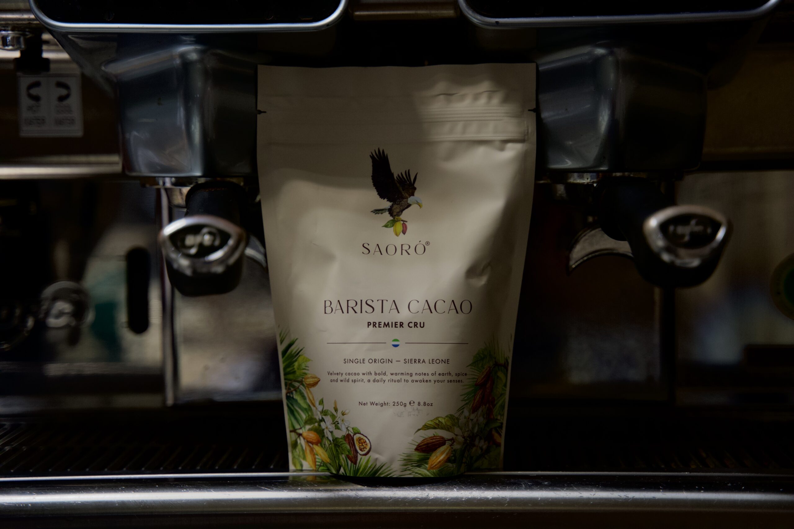 saoró barista cacao