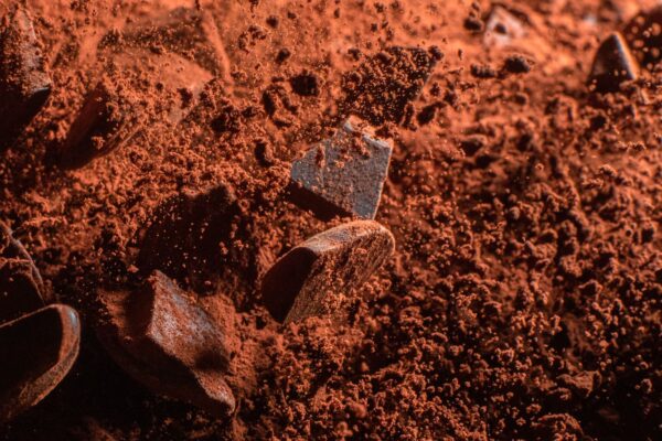 saoró barista cacao