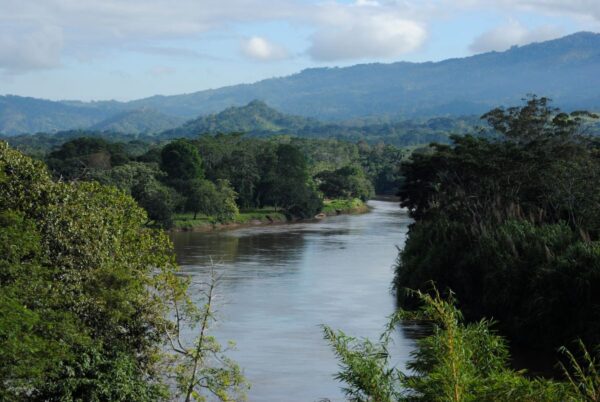 In Beauty I Walk - Amazonia