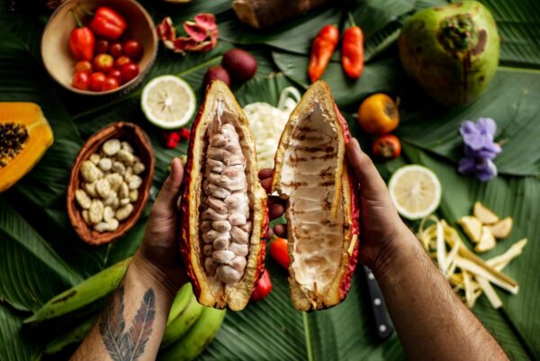 In Beauty I Walk - Amazonia