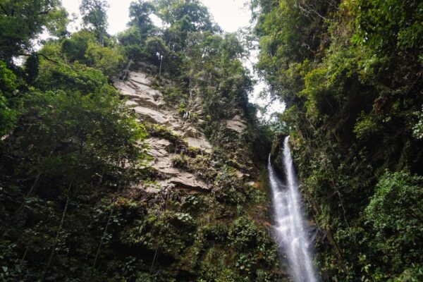 In Beauty I Walk - Amazonia