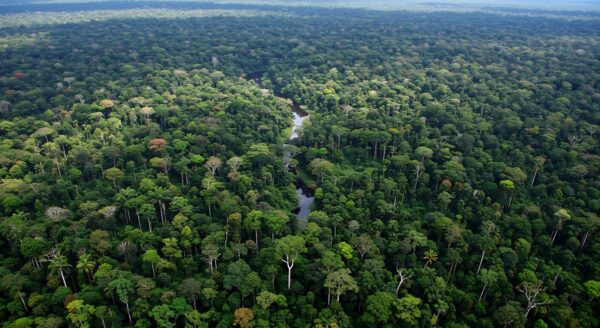 In Beauty I Walk - Amazonia