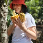 Where Saoro Experience started