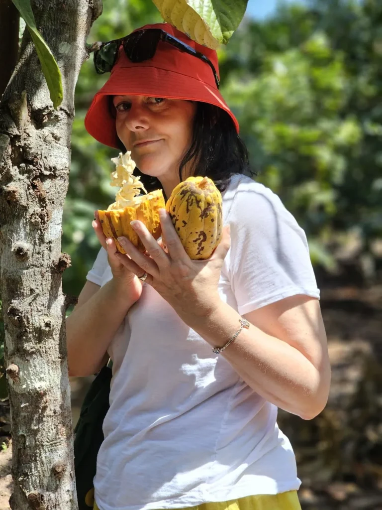 Where Saoro Experience started