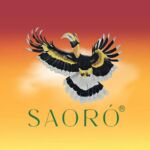Saoro - Let your Spirit Soar